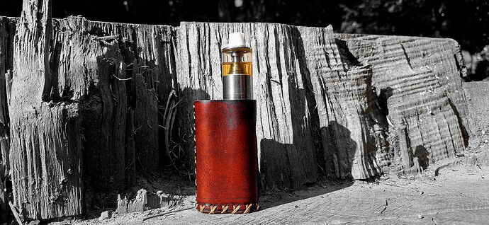 Une cigarette électronique dans un étui en cuir marron se tient devant un tronc d'arbre patiné, au soleil. (Légendé par IA)