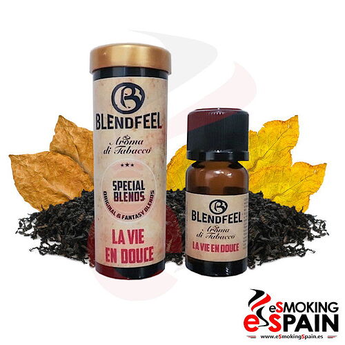 Un chat dort sur un rebord de fenêtre rond, tandis qu'un perroquet est visible sur un autre rebord de fenêtre. (Légendé par IA)