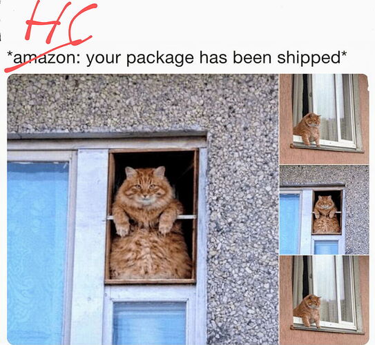 A fat cat is visible in the picture, sitting in a window, with the text 'amazon: your package has been sent' next to it. (Labeled by AI)