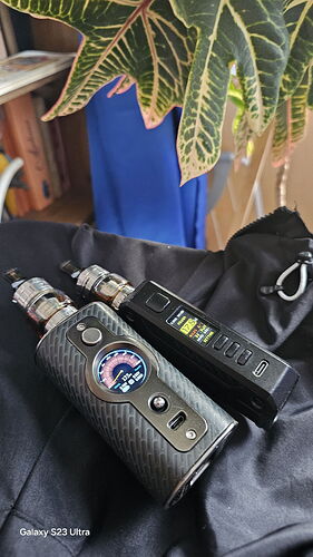 Two electric cigarettes of different designs lie on a black fabric next to a room plant. (Labeled by AI)