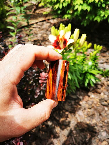 Une main tenant un objet rectangulaire de petite taille à grain de bois devant des fleurs et des plantes en arrière-plan. (Légendé par IA)