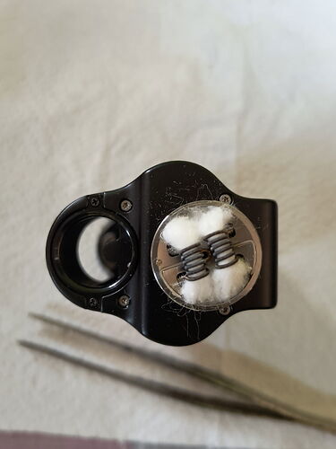 IMG_20250425_165856971_PORTRAIT