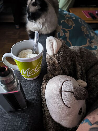 Une peluche, un pot de glace, un diffuseur d'encens et un chat sont visibles sur un canapé. (Légendé par IA)