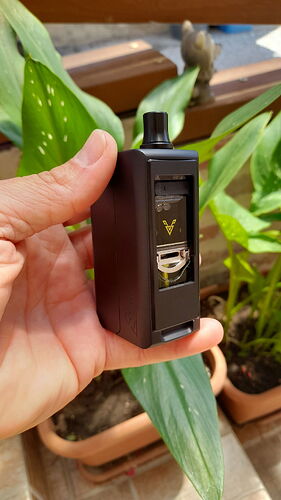 Egy kéz egy fekete, doboz alakú e-cigarettát tart, háttérben növények láthatók. (Feliratozva AI-val)