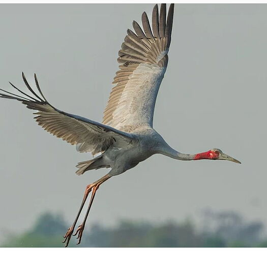 Screenshot_2025-09-11-20-44-29-595_com.opera.browser-edit