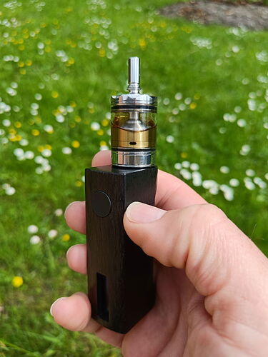 A hand holding a black electronic cigarette (vape), with green grass and flowers visible in the background. (Subtitled by AI)