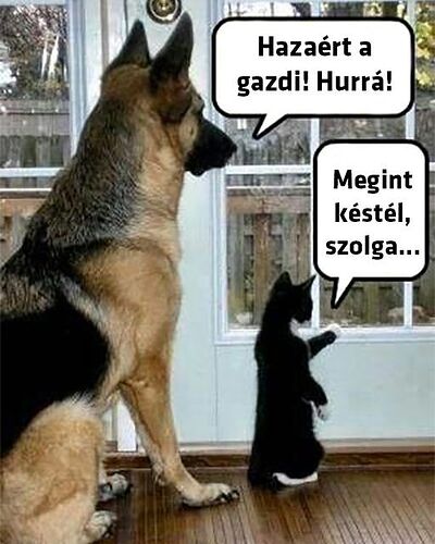 4038a28ec6c1757f5f7842174541db79