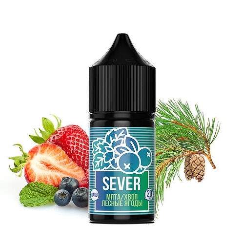 Deux puces de circuit bleues sont côte à côte sur fond blanc, avec des fils verts et jaunes en dessous. (Légendé par IA)