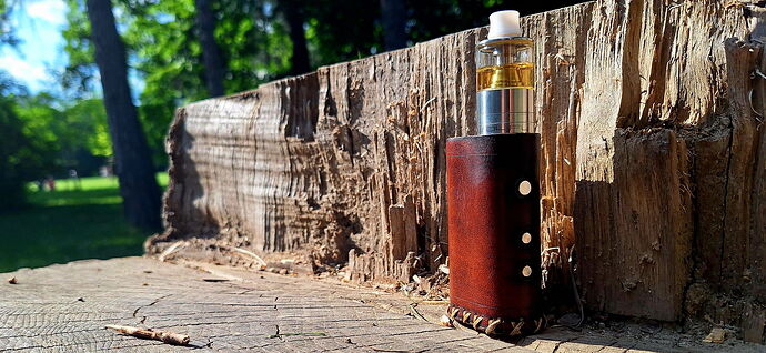 Un vape placé dans un étui en cuir marron se tient à côté d'une planche en bois, au soleil, dans un environnement forestier. (Légendé par IA)