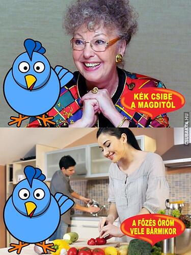 A kép két panelt mutat, mindkettőn egy kék rajzfilm madár, felül egy mosolygó idősebb nővel és a „KÉK CSIBE A MAGDITÓL” felirattal, alul pedig egy konyhában főző párral és az „A FŐZÉS ÖRÖM VELE BÁRMIKOR” szöveggel. (Feliratozva AI-val)