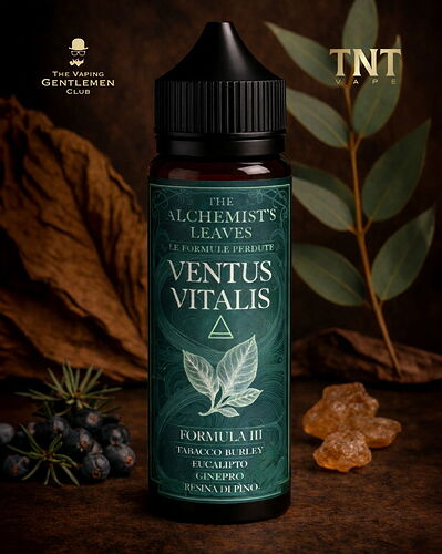 640176054_1391319693040637_6292643563582847993_n