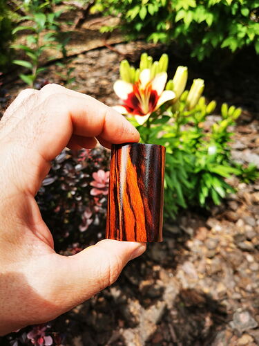 Une main tenant un petit objet en bois devant un jardin fleuri en arrière-plan. (Légendé par IA)