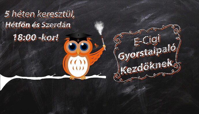 Egy bagoly tart egy füstölő pálcát, és a táblán az áll: „5 héten keresztül, hétfőn és szerdán 18:00-kor! E-Cigi Gyorstaplaló kezdőknek.” (Feliratozva AI-val)