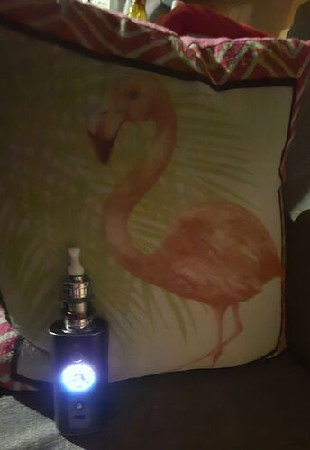 Un coussin représentant un flamant rose est visible sur la photo, à côté d'un appareil de vapotage lumineux. (Légendé par IA)