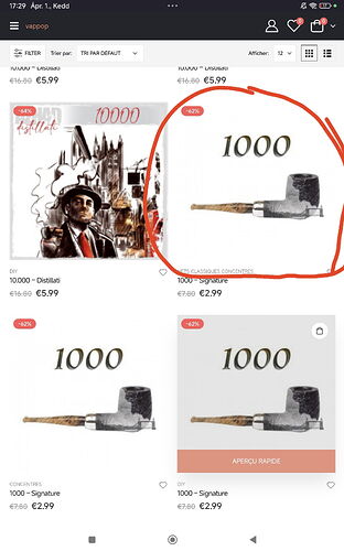 L'image montre l'offre d'une boutique en ligne où divers produits, y compris des pipes et des commentaires, sont présentés avec des réductions de prix. (Légendé par IA)