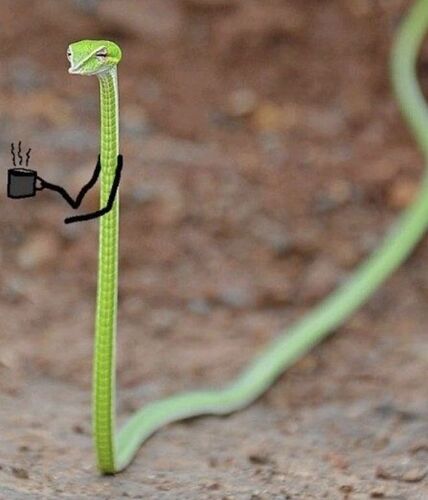 ea89a100d5a8fb5749b819bacbf14343