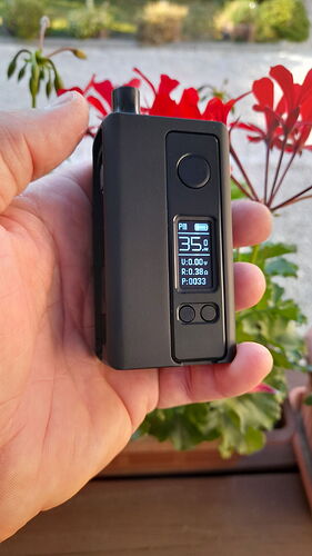 A hand holds a black electronic cigarette device, with red flowers and green plants visible in the background. (AI-captioned)