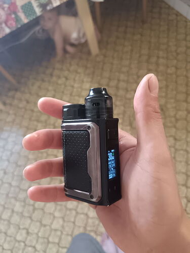 A black and silver electronic cigarette device held in one hand, with a dog lying on a rug in the background. (Labeled by AI)