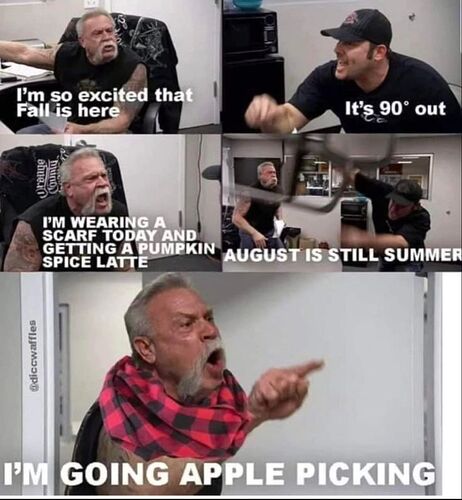 39e0eb0d84981a7602ecb053894552ea