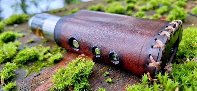 A silver-colored device covered with a brown leather case lies on a moss-covered tree. (Labeled by AI)
