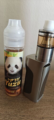 On one side an e-liquid bottle with a panda image, and on the other side a metal electric cigarette is visible on a wooden surface. (Captioned by AI)