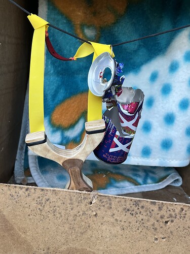 Un lance-pierre en bois sculpté avec un élastique jaune, auquel est accrochée une canette de soda écrasée. (Sous-titré par IA)