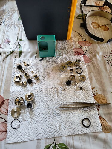 IMG_20250321_105216722_AE