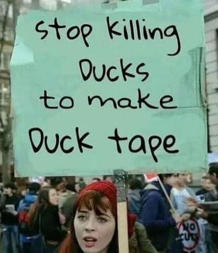 Une jeune manifestante tient une pancarte sur laquelle il est écrit : "Stop killing ducks to make duck tape" (Arrêtez de tuer les canards pour faire du ruban adhésif). (Sous-titré par IA)