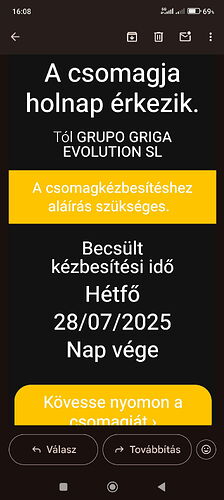 The screenshot shows a Hungarian message about a package's arrival tomorrow, which requires a signature, and the estimated delivery time is Monday, July 28, 2025, end of day. (Subtitled with AI)