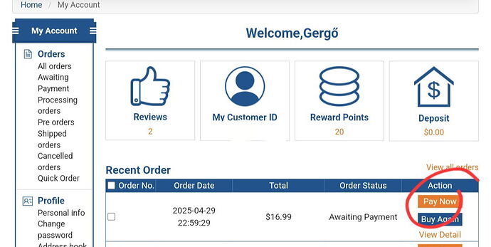 This image shows an online account page where a user named Gergő's orders, reviews, reward points, and payment options are displayed, highlighting a "Pay Now" button. (Subtitled with AI)