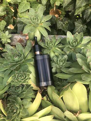 728ba55b-2e71-4947-b600-17cae7c2873a