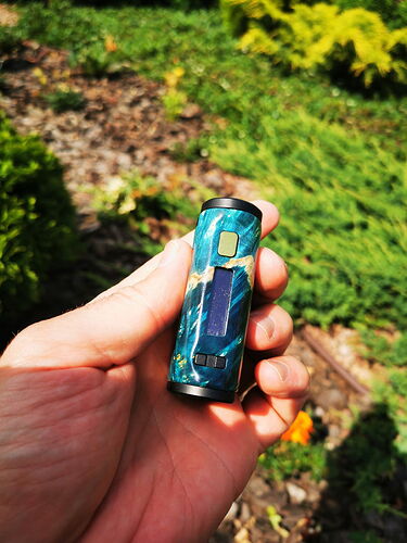 Une main tenant un appareil électronique à motif bleu-vert devant un fond de plantes vertes naturelles. (Légendé par IA)