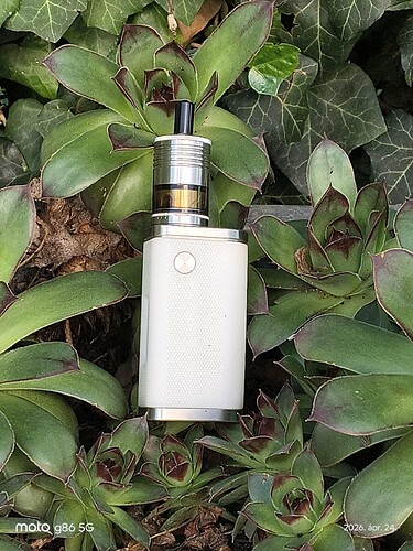 bb8b776f-1876-4117-89eb-bdb5c096fef5