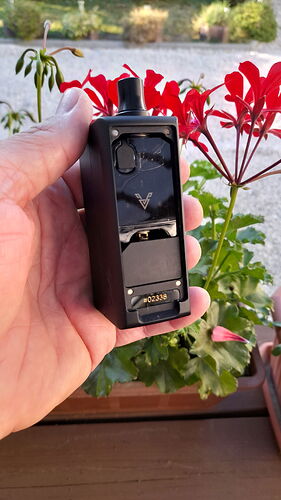 A hand holds a black electronic cigarette, with red flowers and green plants visible in the background. (AI-captioned)