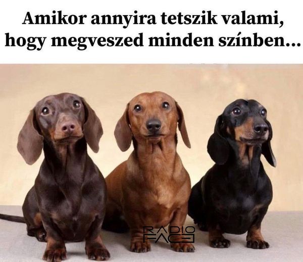 123647873_3619745744743052_319918528867593585_n