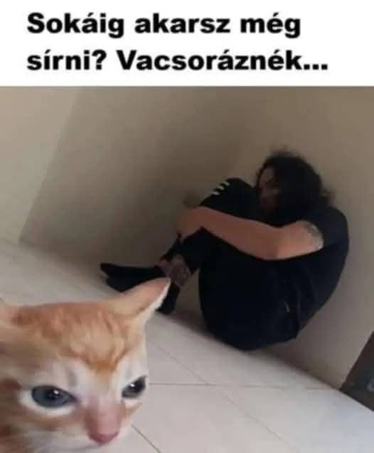 FB_IMG_1757961646089